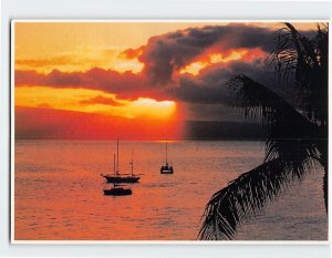 Postcard Kapalua Sunset, Kapalua, Hawaii