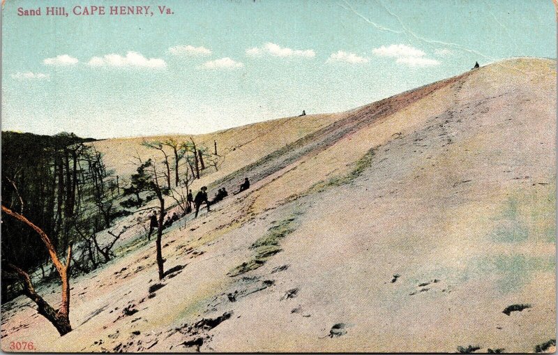 Sand Hill Cape Henry VA Virginia Antique Postcard DB UNP Unused Germany  