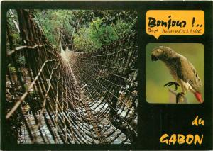 Bonjour du Gabon parot and bridge, pont de lianes de Poubara