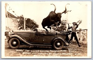 K45/ Buffalo Oklahoma RPPC Postcard c1930 Educated Steer Jump Auto 316