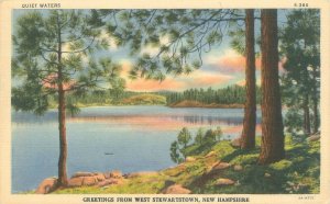 Greetings from West Stewartstown NH, Pine Trees, Sunset 1966 Linen Postcard