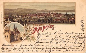 Avenches Switzerland Souvenir Greetings Birds Eye View Vintage Postcard AA68608