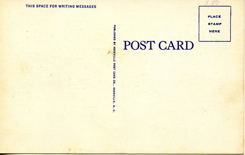 NC - Asheville. Battery Park Hotel