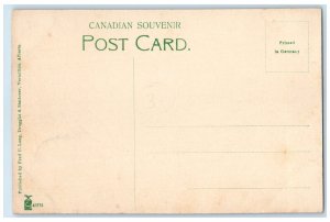 c1910 Town & Valley East End Vermillion Alberta Canada Unposted Antique Postcard