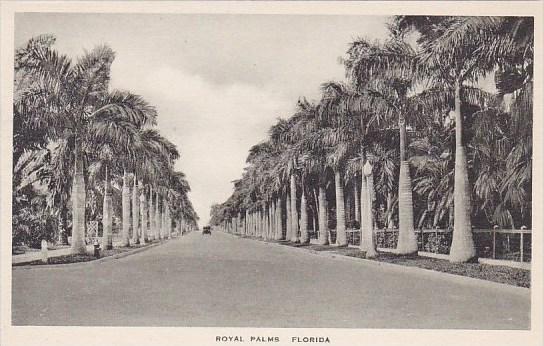 Florida Royal Palms Albertype