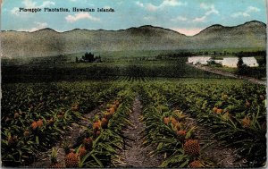 Vtg 1910s Pineapple Plantation Hawaii HI Island Curio Co Unused Postcard