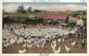 Chicken Ranch - MIsc, CA