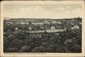 Sonyea NY Birdseye View of White City Craig Colony c1920 Postcard jrf