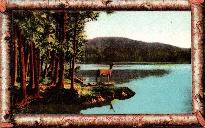 New York Adirondacks Beautiful Lake Scene 1909