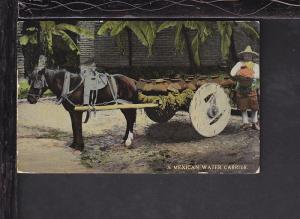 Mexican Water Carrier,Donkey Cart Postcard 