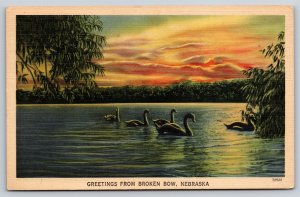 Greetings From Broken Bow Nebraska~Ducks On Lake @ Sunset~Vintage Linen Postcard