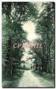 Old Postcard Fontenay Le Comte (Vendee Poitou) Castle Road Poiron the forest ...