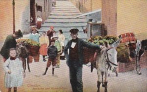 Gibraltar Street Scene With Artichokes and Water Sellers