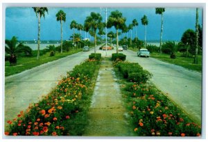 1967 Flowerlined Connecting Clearwater Beach Florida FL Posted Cars Postcard