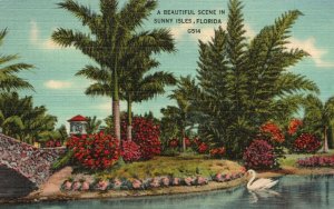 Vintage Postcard 1940's A Beautiful Scene In Sunny Isles Florida J. B. Summers