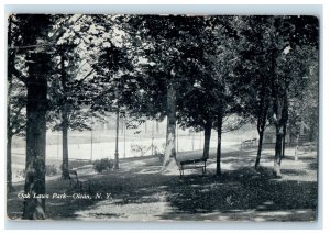 c1920 Oak Lawn Park - Olean New York NY Posted Antique Postcard