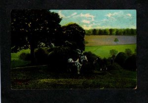Horses doing Haying Farming Farm Postcard Horse and wagon Carte Postale