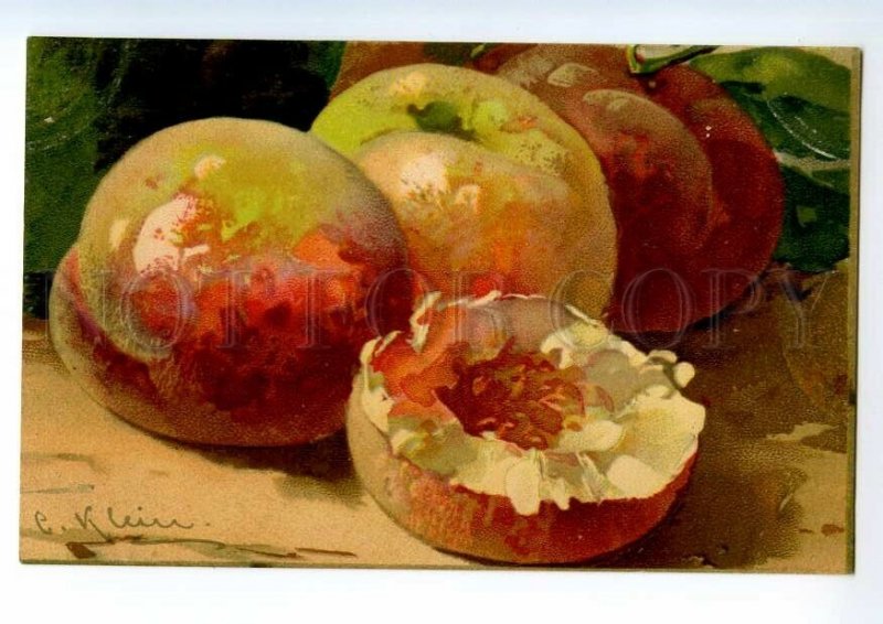 497554 Catherine KLEIN Sweet PEACH on Table Vintage postcard RUSSIA