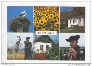 6-view postcard, Hungary, 70-80s