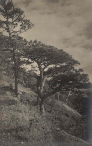 Mt Desert Maine ME The Mountain Pines Jordan Pond House RPPC Vintage PC