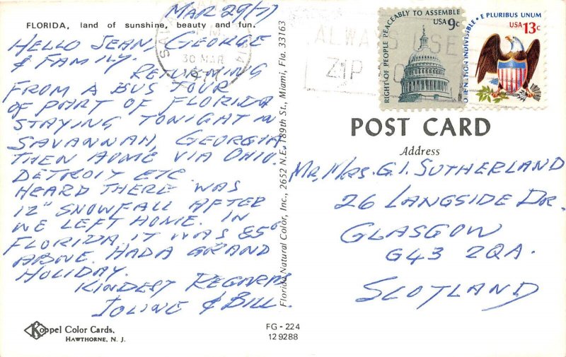 US1 USA greetings from Florida multi view 1977 parrot postcard