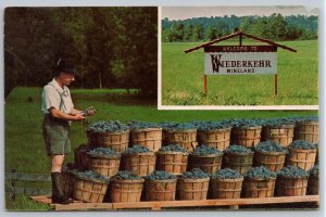 Leo Wiederkehr Wine Cellars Arkus Arkansas AR UNP Chrome Postcard Postcard M15