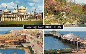 BR77535 greetings from brighton   uk 14x9cm