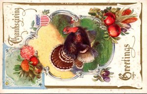 Thanksgiving Greetings With Turkey and Patriotic Shield