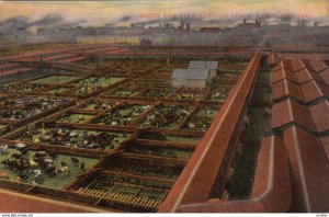 CHICAGO, Illinois, 1900-10s; Bird's Eye View of Union Stock Yards, Cattle pens