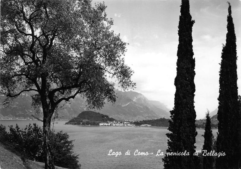 BG30954 lago di como la penisola di bellagio   italy   CPSM 14.5x10cm