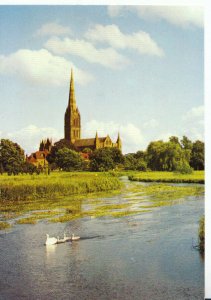 Wiltshire Postcard - Salisbury Cathedral from The River Avon - Ref TZ8556