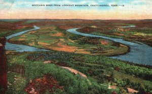 Vintage Postcard Moccasin Bend From Lookout Mountain Chattanooga Tennessee TN