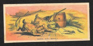 VICTORIAN TRADE CARDS (8 different) Scenes Dogs Chinaman People Hunting Humor