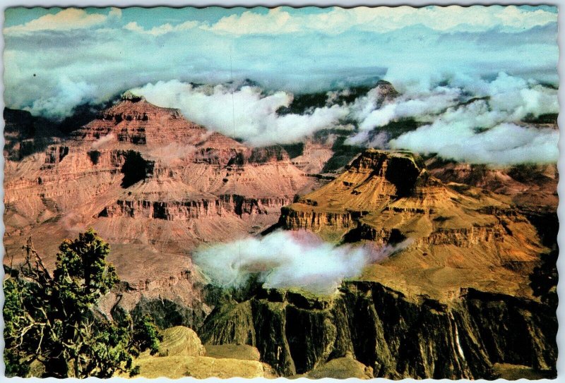 c1960s Grand Canyon Park, AZ Cloudy Scene Fred Harvey 4x6 Chrome Photo PC M11