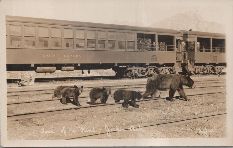 RPPC Postcard Mount Tekarra Trail Bears Walking Jasper Park Canada