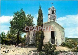 Modern Postcard Our Beautiful Provence Among the Pines a Chapel