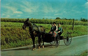 Horse Buggy Amish Country Vintage Postcard PM Cancel Ellenville NY New York WOB 