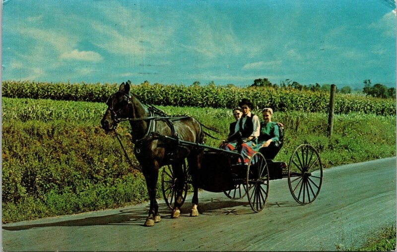 Horse Buggy Amish Country Vintage Postcard PM Cancel Ellenville NY New York WOB 