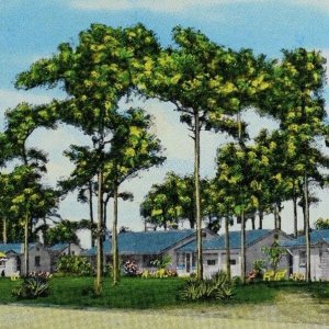 Vintage Apopka Motor Court - Apopka, Florida #2 Postcards P48