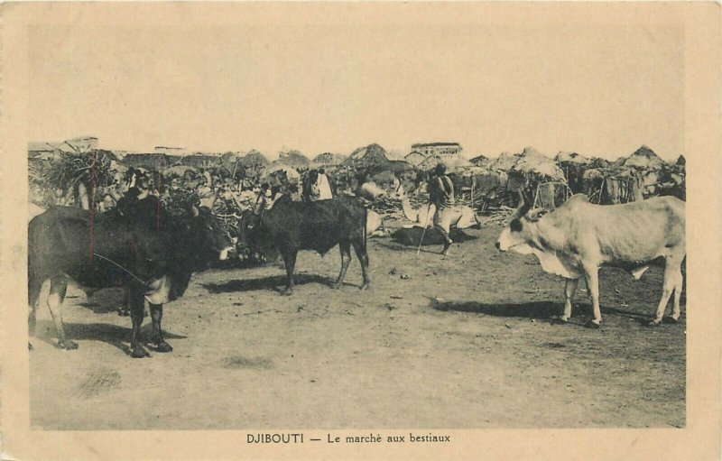 DJIBOUTI - the cattle market