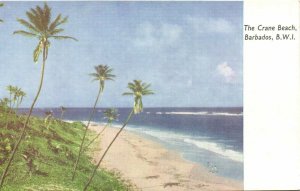 PC BARBADOS, THE CRANE BEACH, Vintage Postcard (B41326)