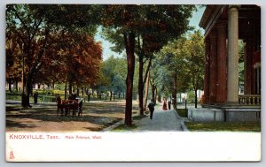 Knoxville Tennessee~Main Avenue West~Horse Buggy by Mansion Pillars~1908 TUCK