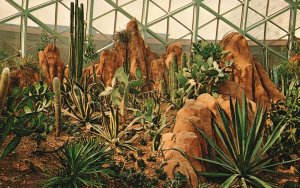Vintage Postcard Arid Dome Desert Cactus Mitchell Park Conservatory Milwaukee WI