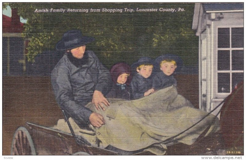 Amish Family Returning from Shopping Trip, Lancaster County, Pennsylvania, 19...