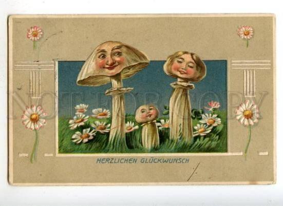 178046 BIRTHDAY Flowers MUSHROOM Vintage EMBOSSED PC