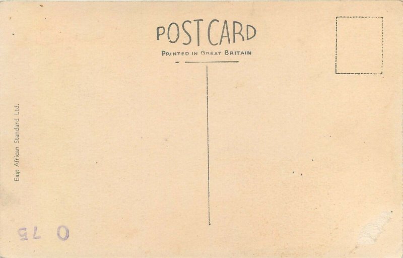 East Africa fauna zebra early postcard