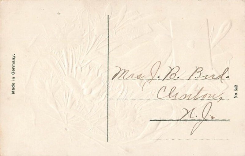 c1910 Songbird Bird Flowers Envelope Good Luck Germany P448 