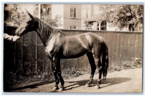 c1910's Horse Dirt Road Scene House Hartford Livery Antique RPPC Photo Postcard