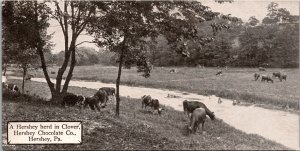 Hershey Cattle Herd Clover Chocolate Co Pennsylvania Candy Bar Postcard