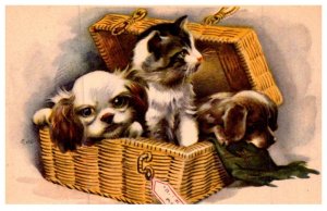 Dog ,Puppies and Cat in wicker basket